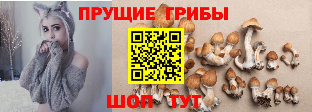Галлюциногенные грибы прущие грибы Чебаркуль